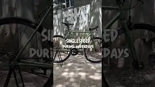 What's your daily commuter bike? #bike #cycling #bikelife #fixedgear #singlespeed