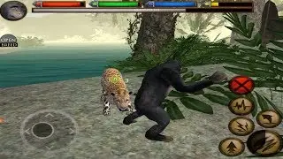 Furious Chimpanzee VS Angry Leopards. Ultimate Jungle Simulator