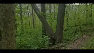 Hiking Mountain Bike Trails Versailles State Park 5/17/20