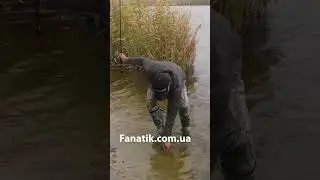 Приманка Леді Бандіт на Щуку