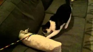 Couch Defender