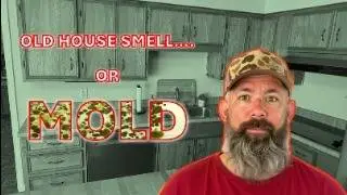 That Smell Isn&rsquo;t &lsquo;Old House&rsquo;&mdash;It&rsquo;s Mold. Here&rsquo;s How We Beat It