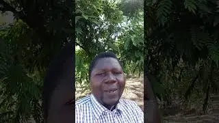 MERRY CHRISTMAS:RWANDA,CONGO AND BURUNDI