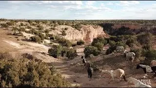 Saddle Up and Take a Tour of Palo Duro Canyon
