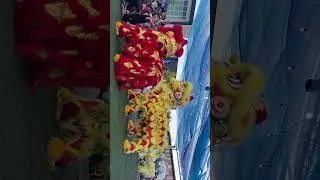 Asia fest 2025&mdash;&mdash;&mdash; lion dance Hung Mon athletic club