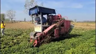 Wubota's Detailed Peanut Harvester Practical Guide #peanut #peanutharvesting #groundnut #groundnuts