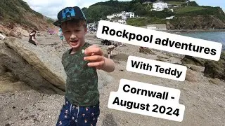 RockPool Adventure: Teddy takes Dad on a hunt for 'Jelly Beans' (Beadlet anemone&rsquo;s)