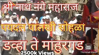 श्री नाथ नंगे महाराज विश्वमंदिर डव्हा पालखी सोहळा डव्हा ते माहुरगढ Sri nath nange maharaj Davha