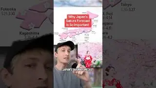 Japan&rsquo;s Sakura Forecast lore runs deep