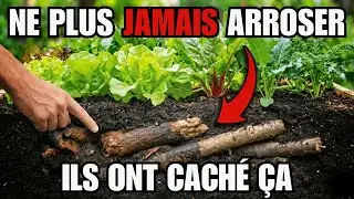 Technique du &ldquo;jardin paresseux&rdquo; qui s&rsquo;arrose seul pendant des d&eacute;cennies &mdash; pourquoi oubli&eacute;e ?