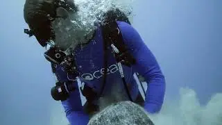 We Expose a Secret That the Ocean&rsquo;s Been Keeping for Over 50 years&hellip;