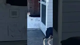 Savage Attack