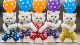 Dudi dudi dam dam song cat video|Dudi Dudi Dam Dam Dance |Funny Kids Videos | Kids Rhymes #dudidudi