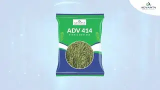 Farmer Testimonial_Rajasthan_Baran 2_Mustard_ADV 414