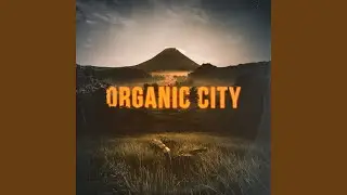Organic City