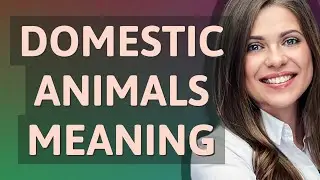 Domestic animals | meaning of Domestic animals