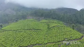 Munnar Tea Plantation Drone Video