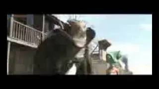 Chfo chno wa93  fwarzazt lolll !!!!