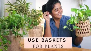 Decor special l How to use baskets for Plants the right way? | Garden Up Basics Ep. 17