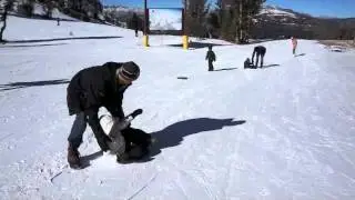 Trayboarding