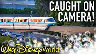 Disney Monorail TRACK CLEANING Caught on Camera! - Disney News
