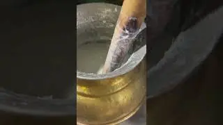 Famous Lassi | Street Food | Masala Food Vlogs #food #foodie #viral #trending #foodblogger