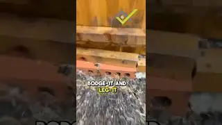 Этот новый дом в Беллвее получил оценку 1⭐️. Присоединяйтесь к нам в опросе по поиску недоделок 🏚...