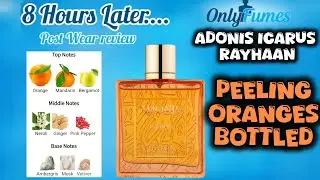 POST WEAR REVIEW| Adonis Icarus Rayhaan #rayhaan #perfume #fragrance #cologne #smellgood #scents 