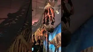 Fernbank Museum of Natural History in Atlanta #museum #dinosaur
