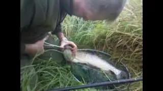 Pike fishing on the river Cuckmere