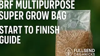 Start to Finish &mdash; BRF Multipurpose Super Grow Bag!