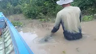 ដាក់ប្រឹសមិនបាន