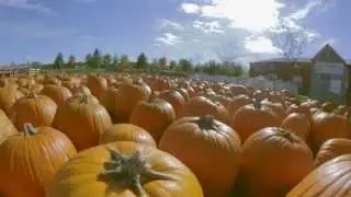 Fall Fun at All Seasons Orchard