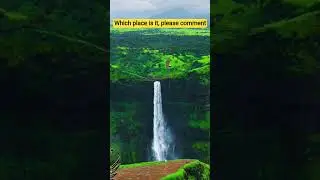 #popular #pokemon #pets #lifeisbutadream #whowillbemylifepartnerta #aajtak #movie #yt #birds #love