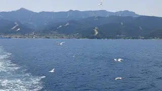 Princess Golden Beach 4* Тасос Греція 💗