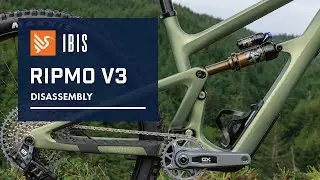 Ripmo V3 Disassembly