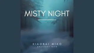 Misty Night