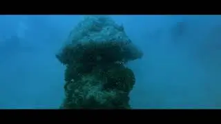 Fun Dive at Noy Guido's Private Resort