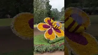 Ooty flower show  ! #ooty #ootyflowershow #flowershow