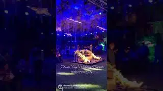 The Vijayran Palace | sangeet decor #decor #decoration #shaadi #colour #cocktail #sangeet #vijayrana