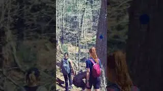 spring Day trip at #algonquinpark #hiking #outdoors #spring #ontario