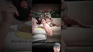 Dhokha kana makao she