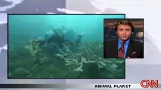Saving oceans