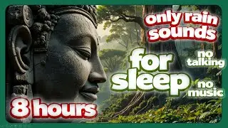 8 hours Calm Rain in the Sacred Jungle Sanctuary | Ruhig Regen in der Heilig Dschungel Heiligtum