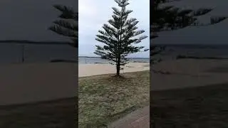 dolls point