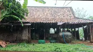 `` Rainfall in a Quiet Corner of the Village - ASMR Rain Sounds to Soothe the Soul ``