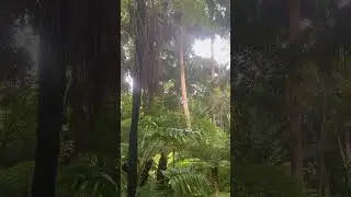 Botanical gardens Melbourne