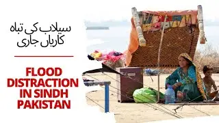 Devastated Kacha Area By Flood | Floods In Sindh | Pakistan Floods