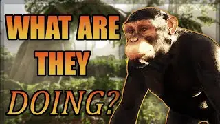 Finally Showing You What's happening with THE HUNTED Animal Survival Game