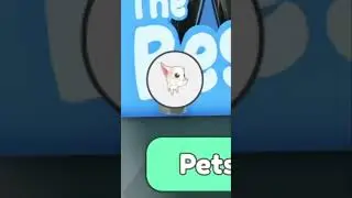 Got Automation on day 4 in Collect All Pets